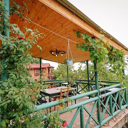 Guest House Evdoshvili St N5 Signagi Exterior foto