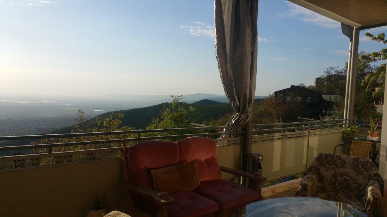 Guest House Evdoshvili St N5 Signagi Exterior foto
